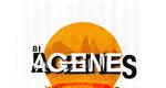 Big Agnes logo